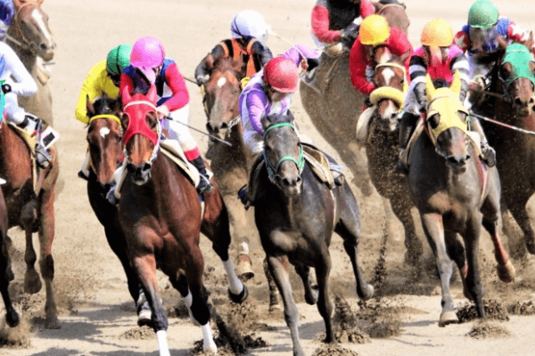 競馬
