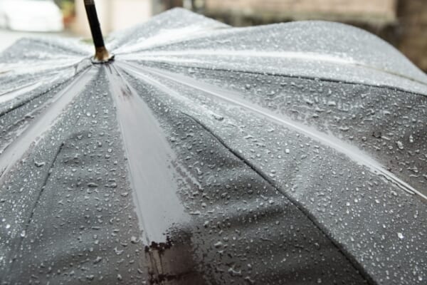 雨