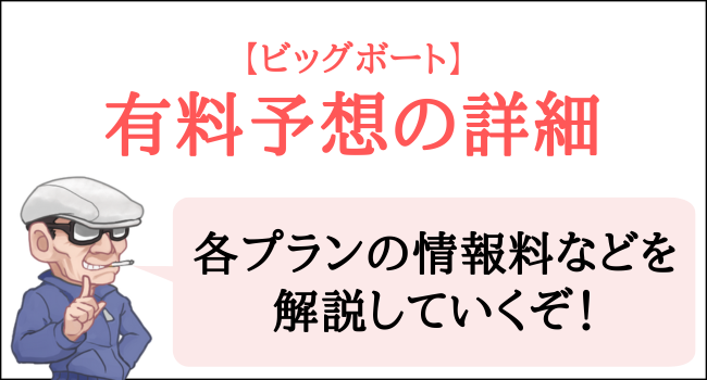 ビッグボートの有料予想のプラン詳細