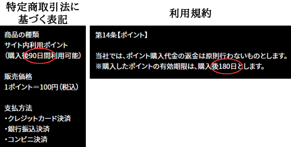 ボートリゾートの有効期限の記載ミス