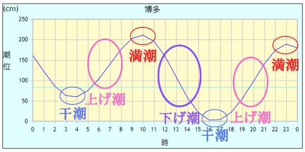 干潮と満潮のグラフ