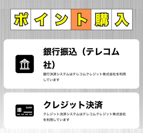 ボートアセットのポイント購入