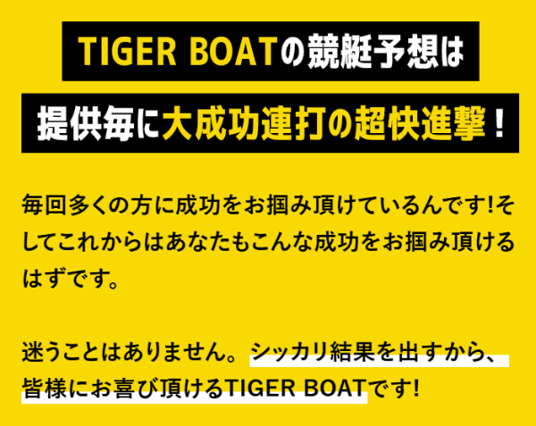 タイガーボートの誤解を生む表現