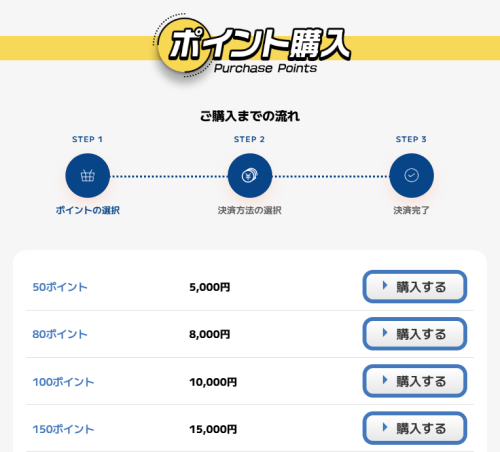えーあいボートのポイント購入